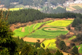 南部縣首屆菜花節(jié)開幕活動(dòng)